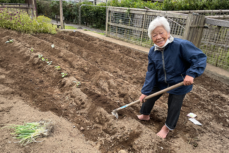 四季折々の花と野菜の栽培